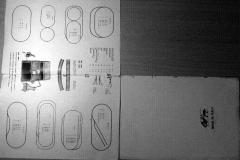 prosp2_0