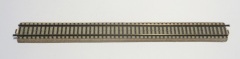 203-v3-36-cm-ca-P-01
